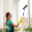 Mop Vetri con Manico Estensibile e Spugna - Lavavetri Professionale per Finestre e Vetro