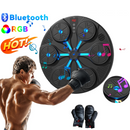 Macchina da Boxe Interattiva LED con Musica e Guantoni Inclusi - Allenamento Intelligente a Casa