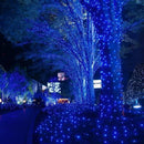 Luci di Natale su Bobina 100m LED Blu | 500 LED Potenti | 8 Giochi di Luce | IP44